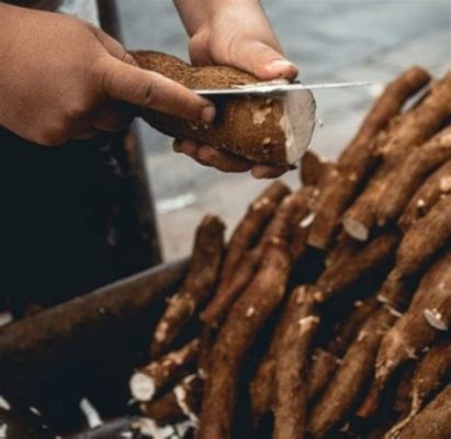  Tapping into Cassava: A Masterful Exploration of Nigeria's Starch Staple